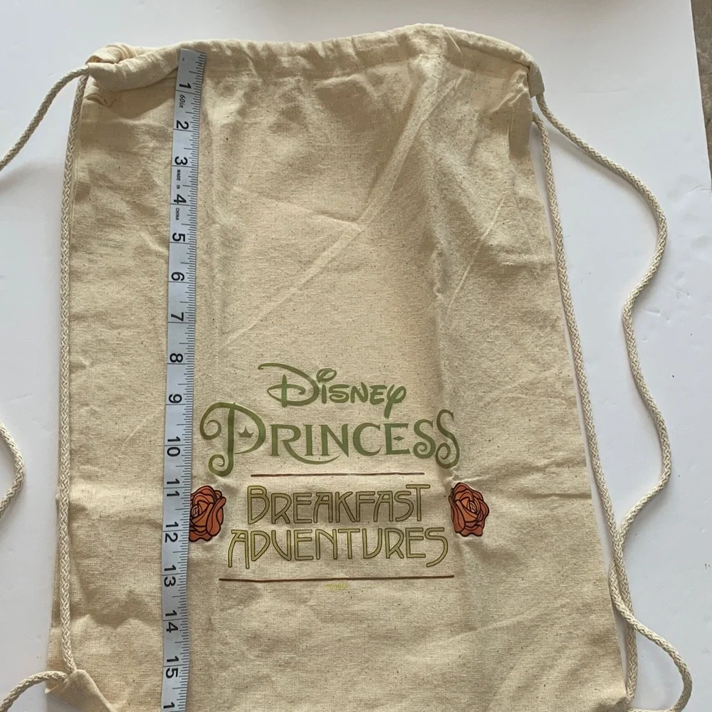 Original Disney Princess Cream Adventure Bag. Pre- owned. Size: 13x17.